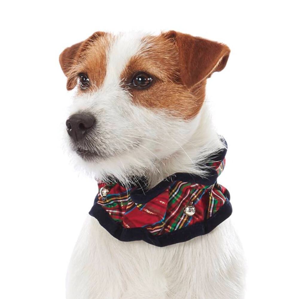 Fox & Hounds Holiday Tartan Plaid Scrunchie Dog Collar with Bells.